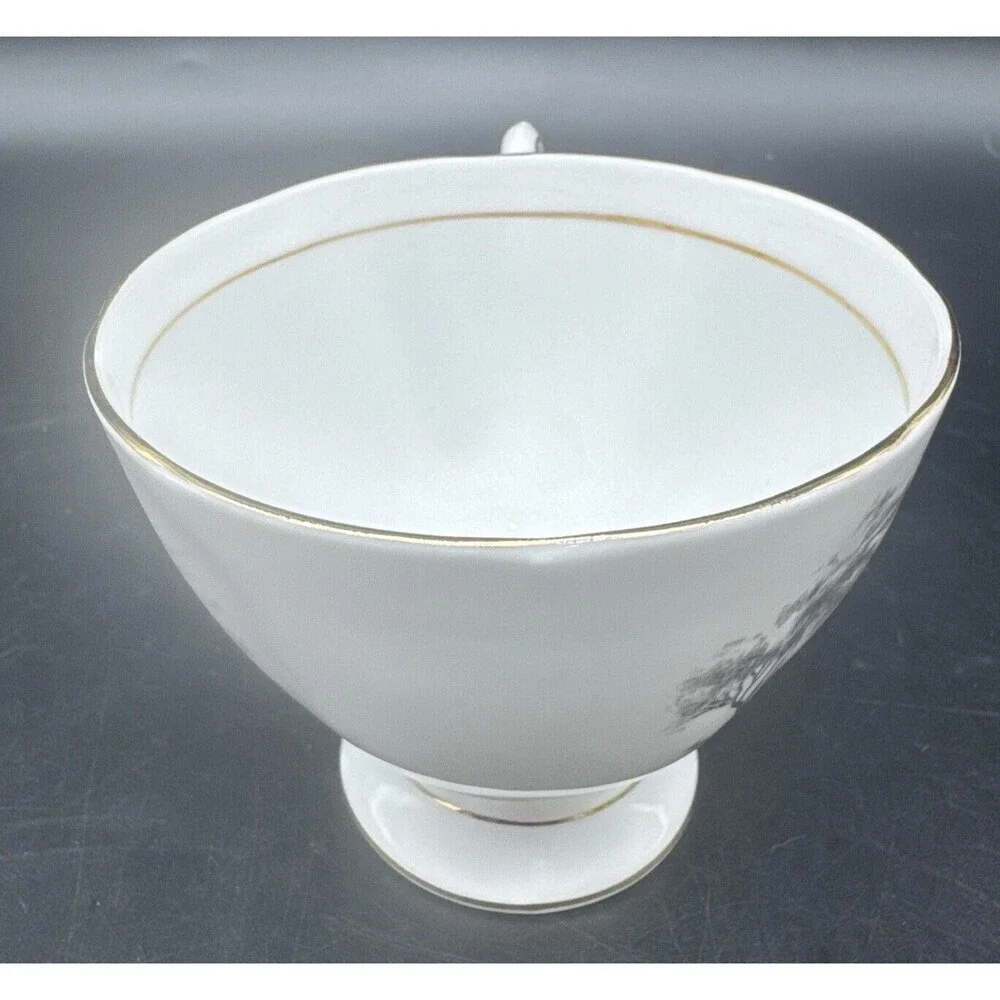 Tuscan BLACK & WHITE Countryside Fine Bone China‎ Tea Cup & Saucer England